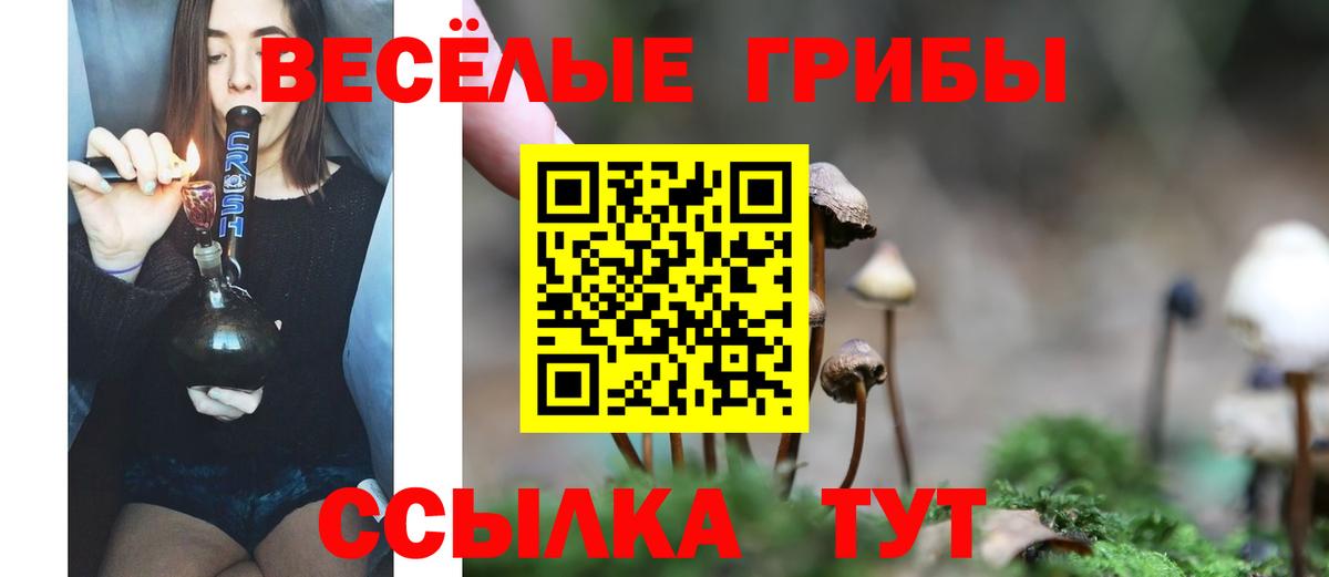 Ростов-на-Дону  Галлюциногенные грибы ЛСД  где купить наркоту  Вход с VPN 